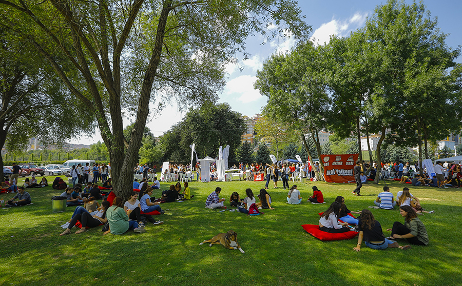 24793446395_8af33d44ca_o_7Fhvw4a